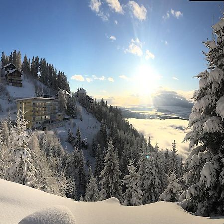 Sonnenhotel Zaubek Треффен Экстерьер фото